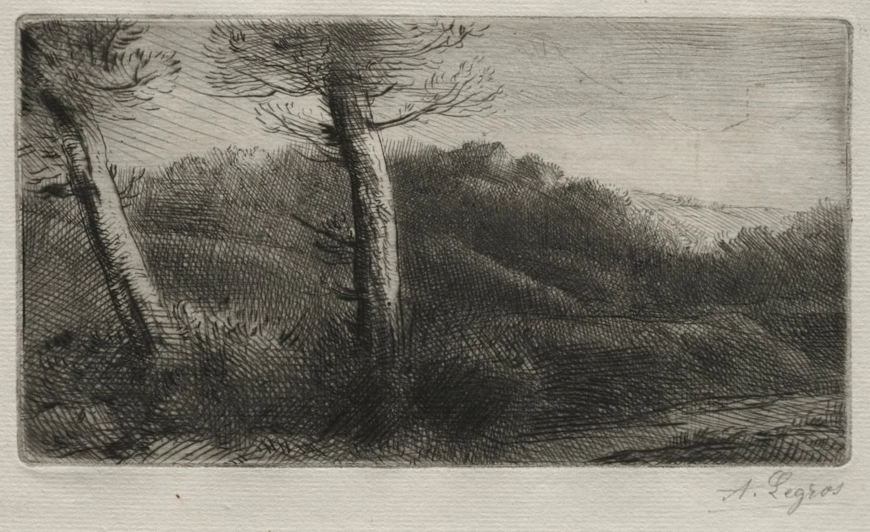 Sunset, detail