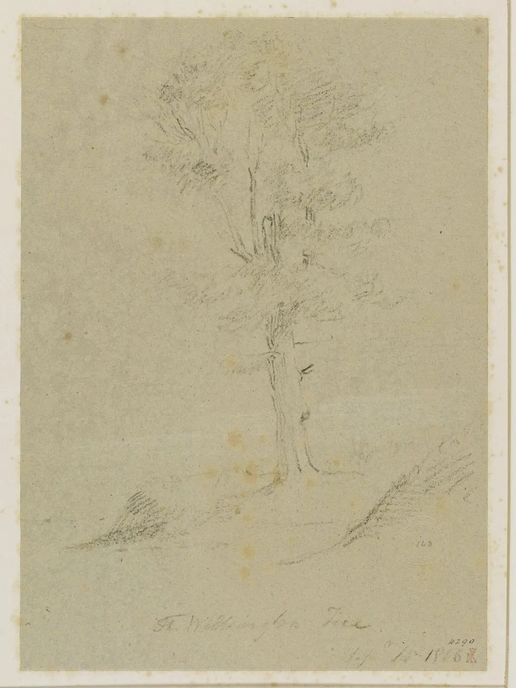The Wellington Tree, by John Jackson, 1816