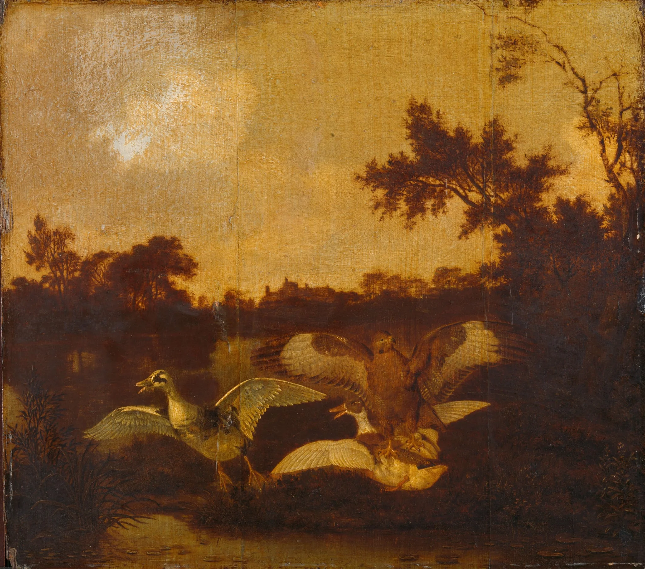 A Buzzard Attacking Two Ducks, detail