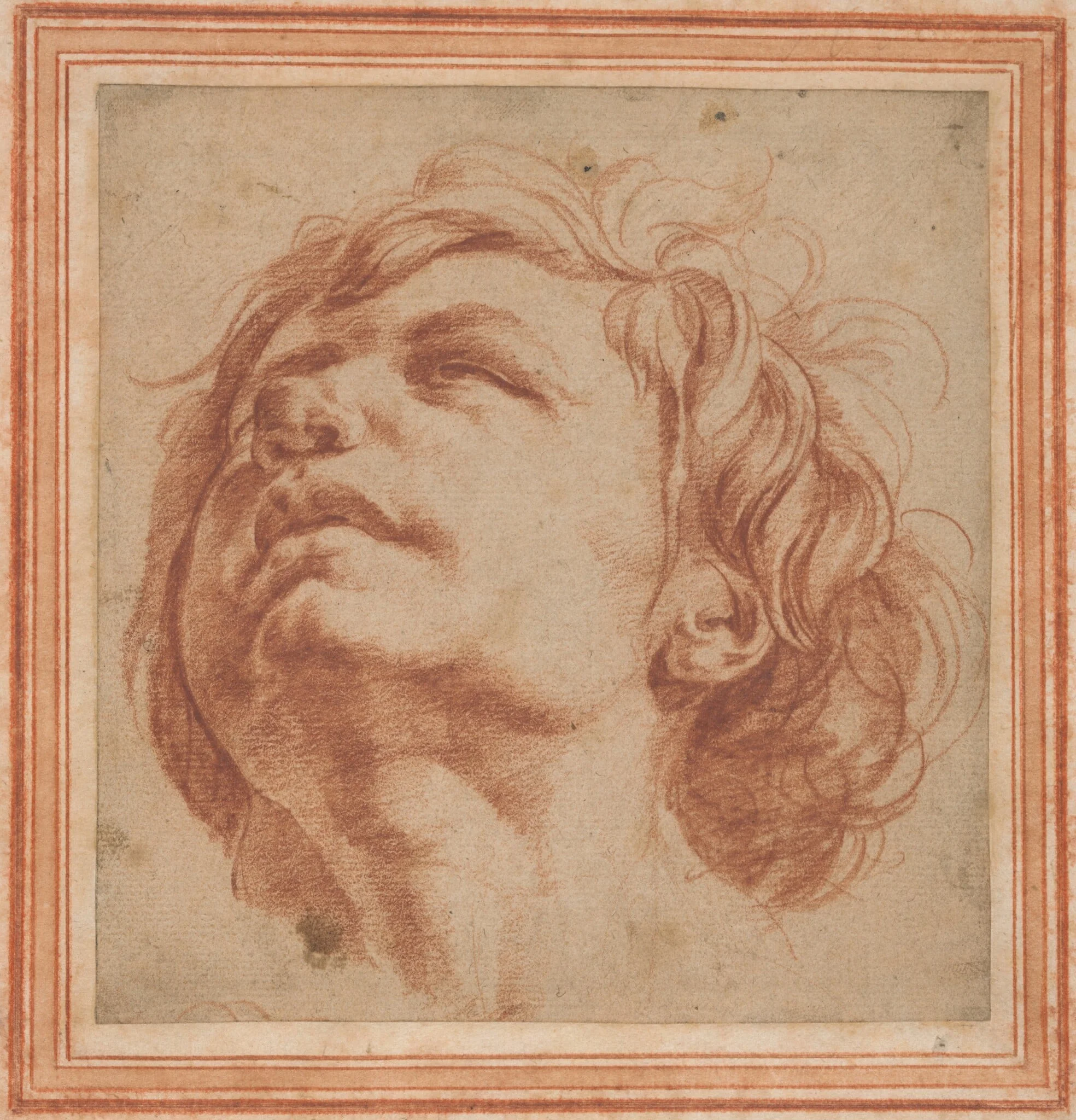 Head Study of a Young Man Looking Upward, detail