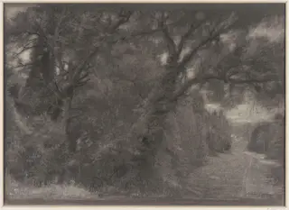 Landscape : a woodland scene, by Albert Goodwin, 1845
