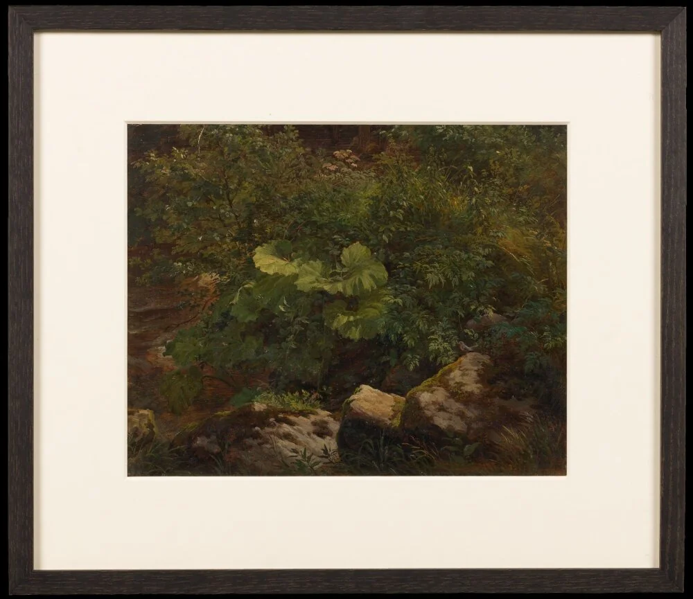 Plants. Study, detail