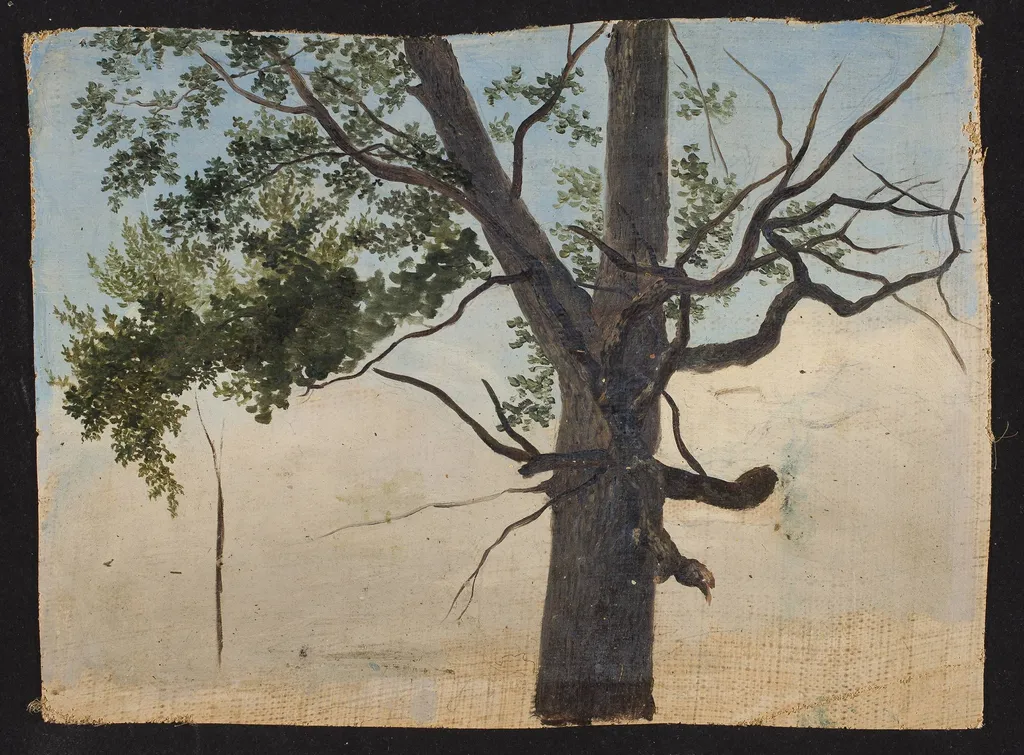 Solitary tree, by Chrystian Breslauer, oil, 1852