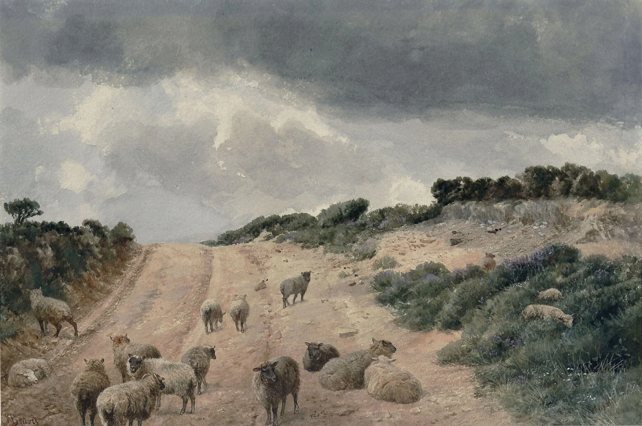 Sheep on the Surrey Hills, detail
