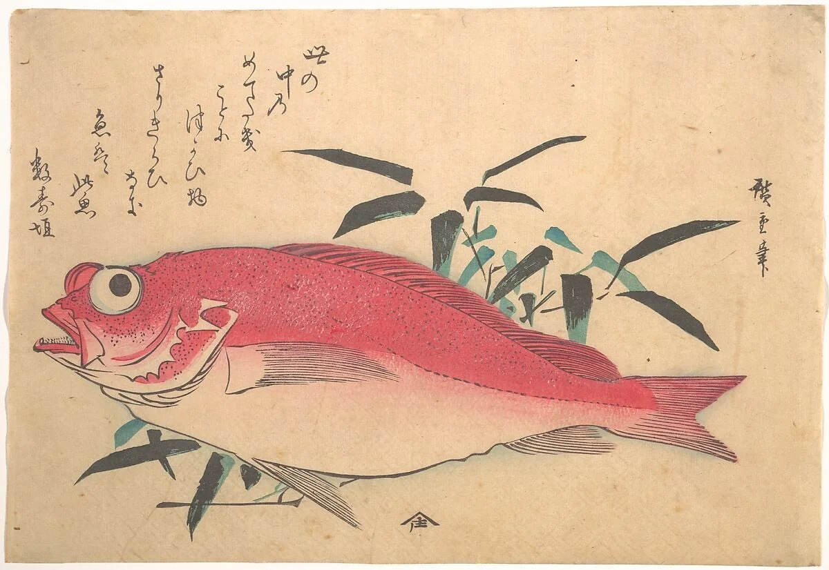 魚づくし|Medetai Fush and Sasaki Bamboo, from the series Uozukushi (Every Variety of Fish), detail