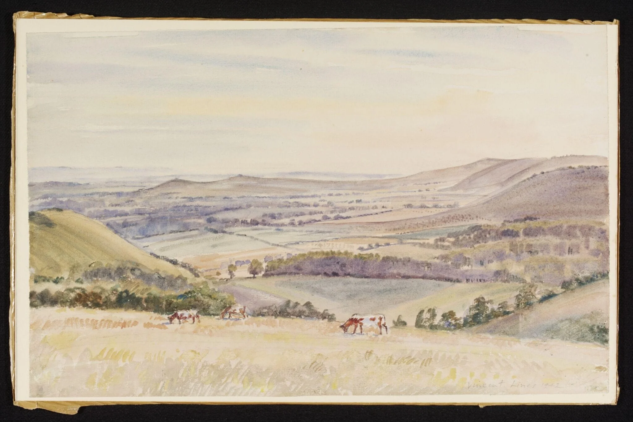 View over Pewsey Vale from Martinsell, detail