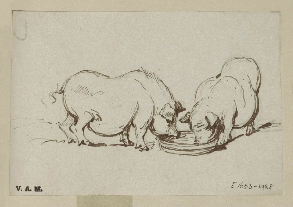 Two pigs feeding, by George Chinnery, 19
