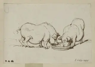 Two pigs feeding, by George Chinnery, 19
