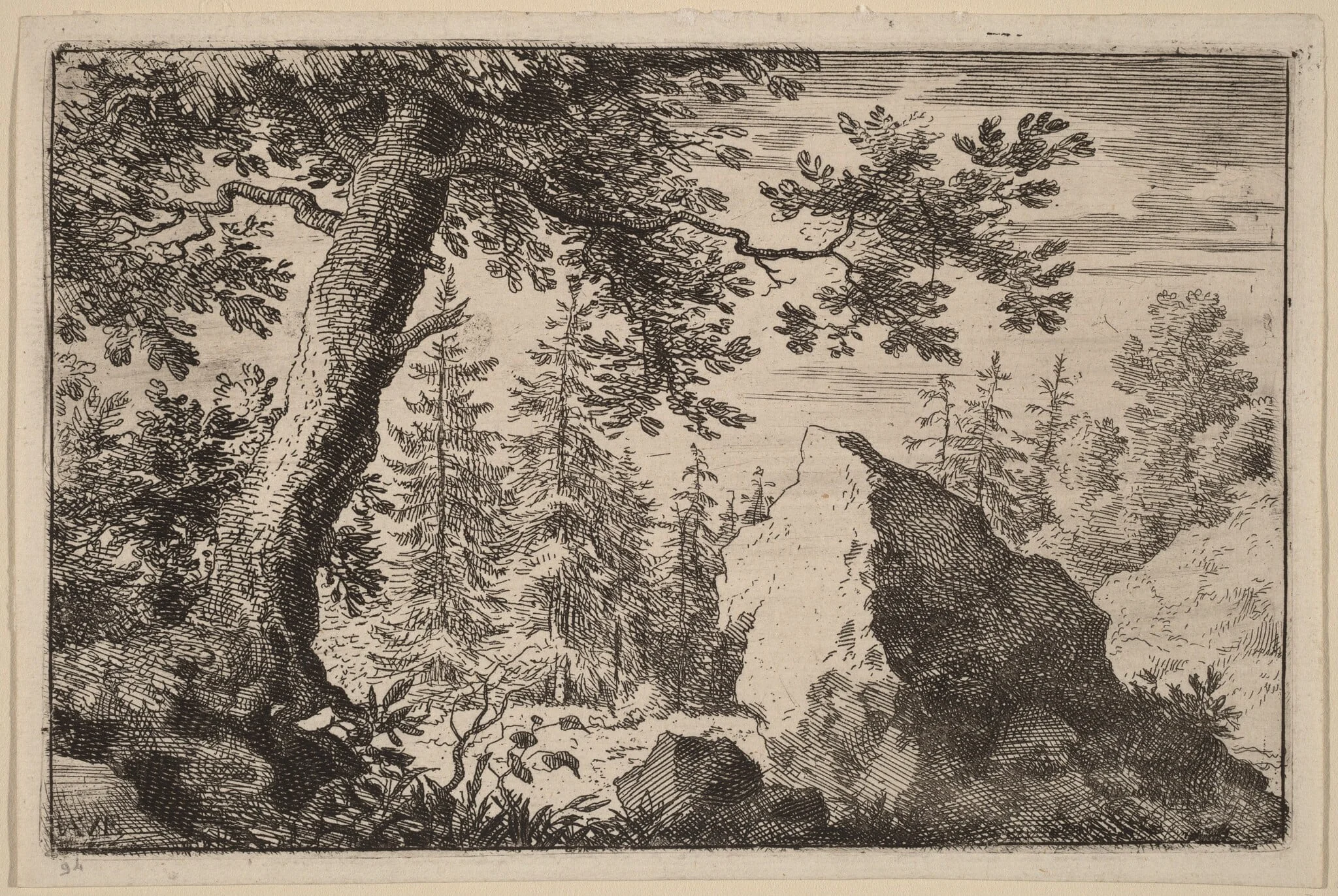 Boulder in the Woods, detail