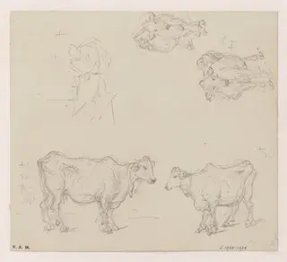 Four drawings of cows, by George Chinnery, 12