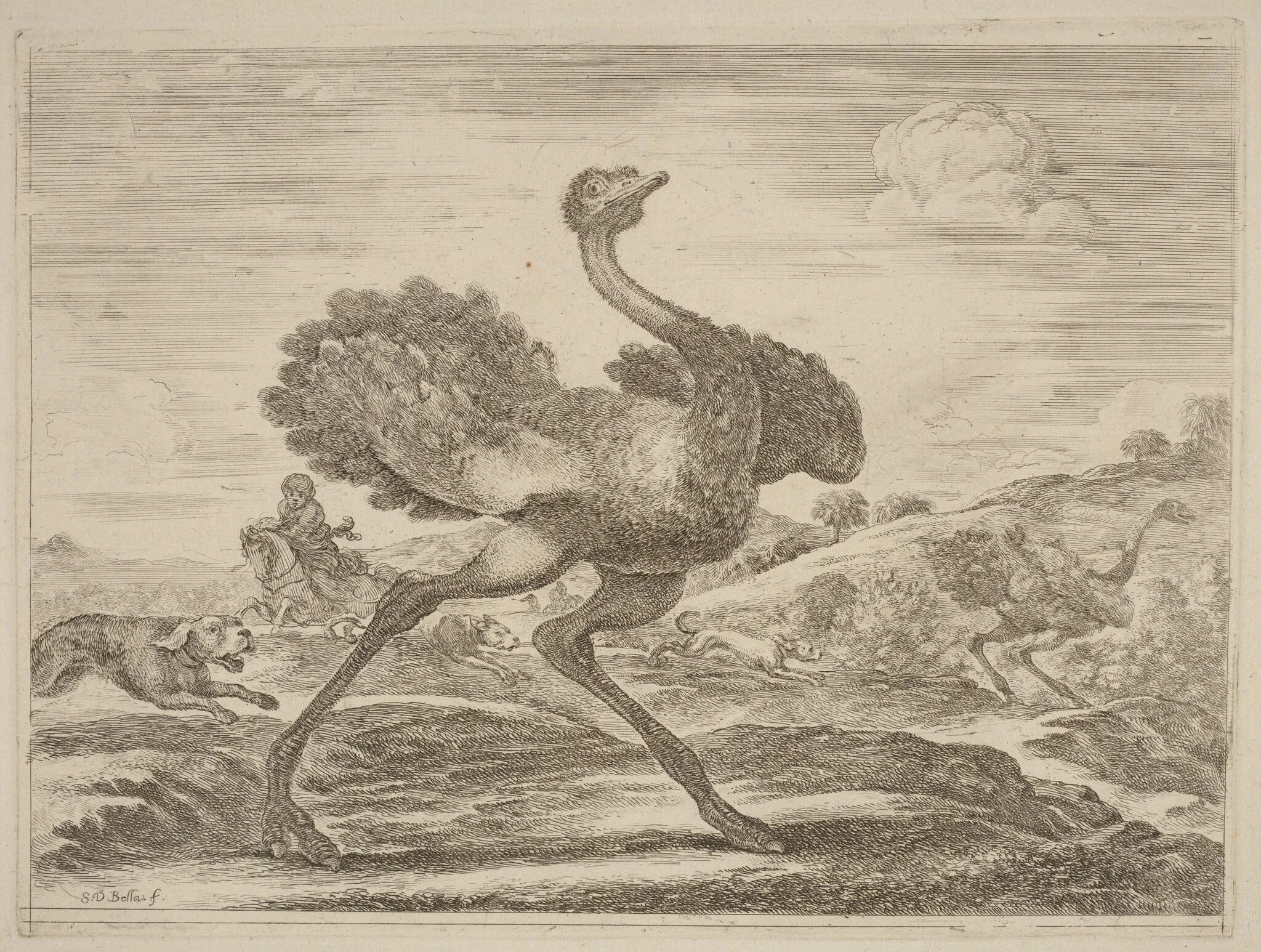 Ostrich Hunt, detail