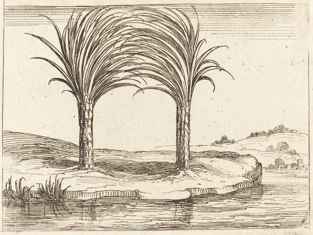 Two Palm Trees, by Jacques Callot, ink, 1628