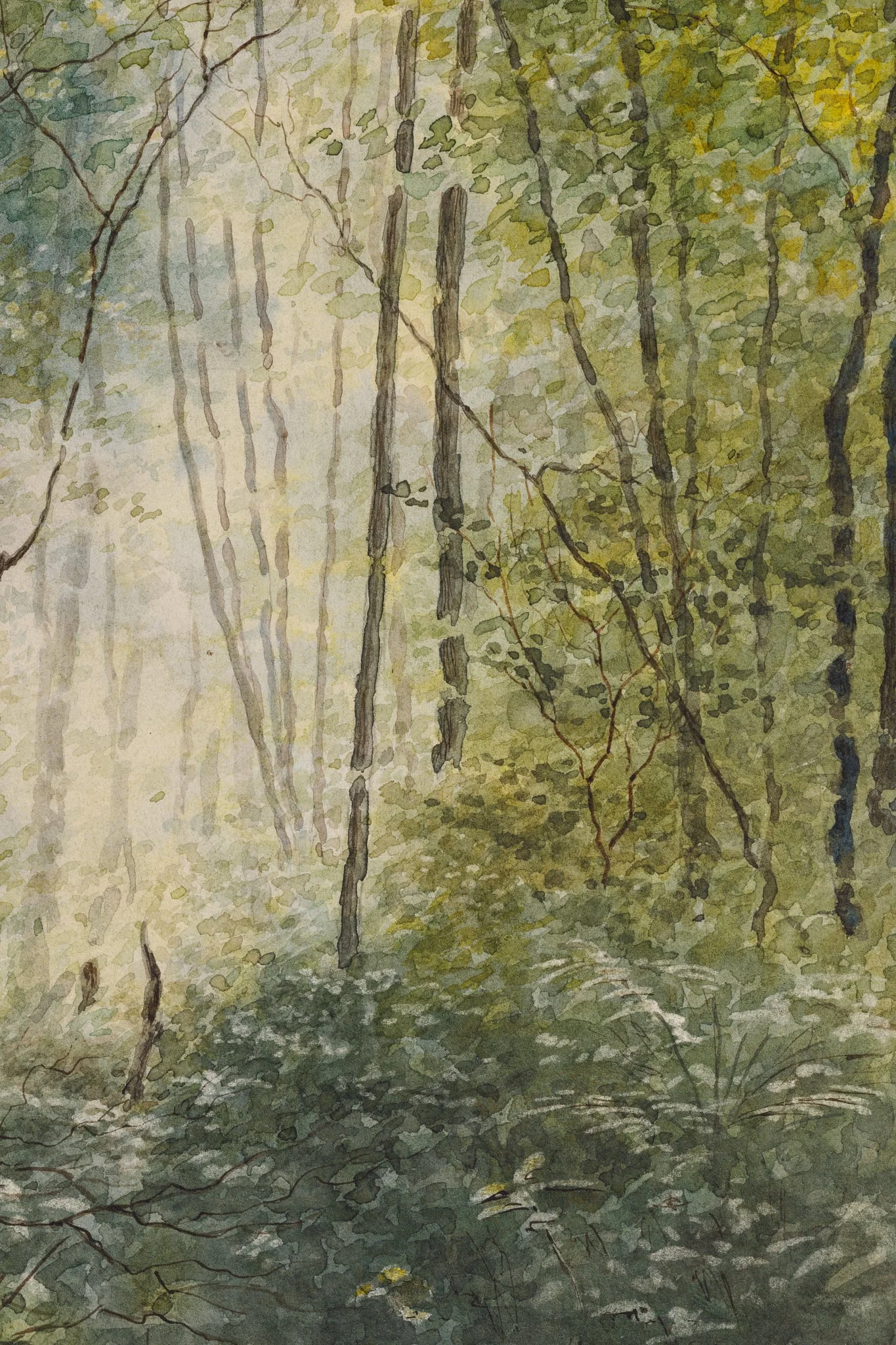 Luminiș de pădure, detail