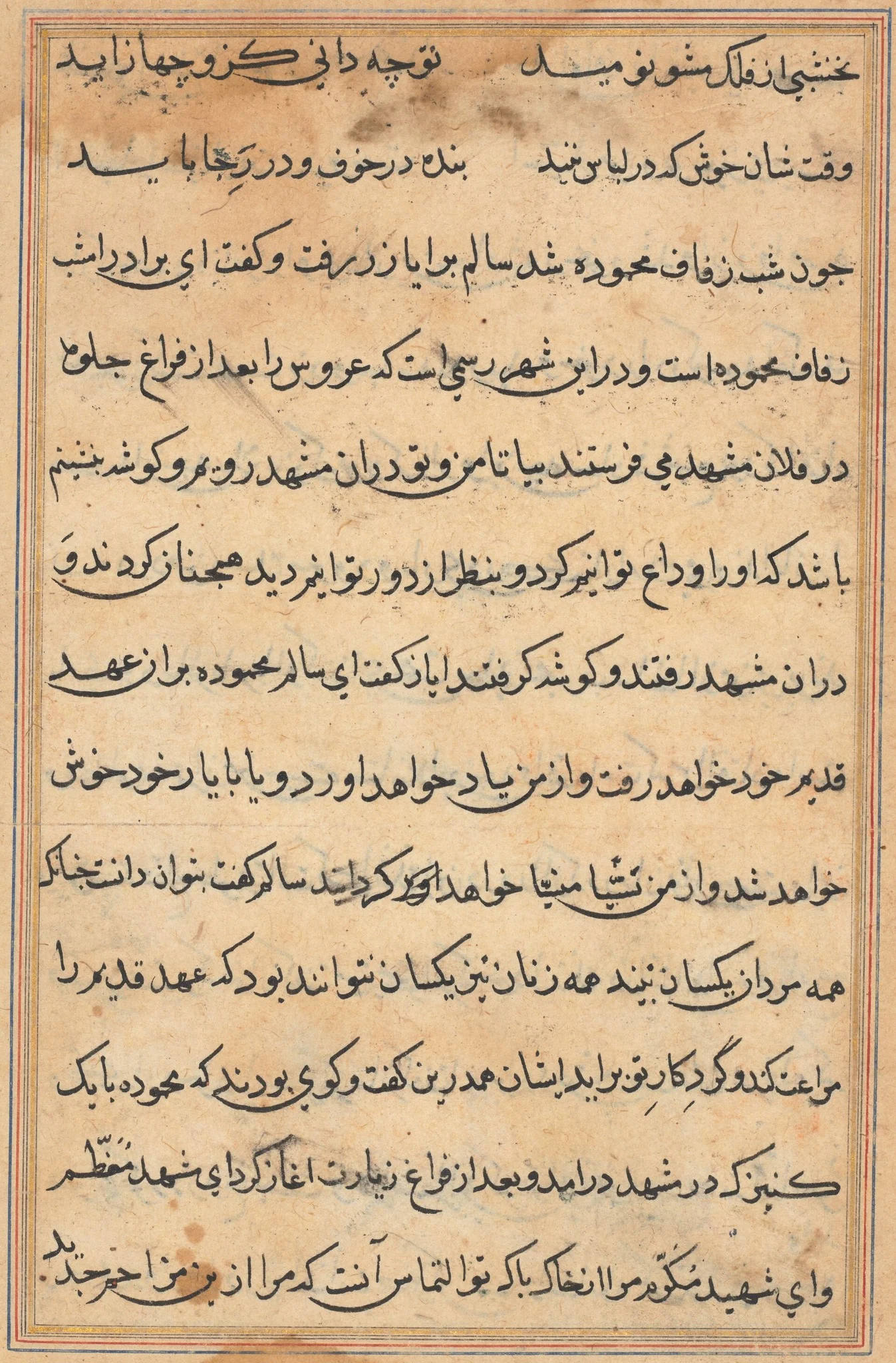 Page from Tales of a Parrot (Tuti-nama): text page, detail