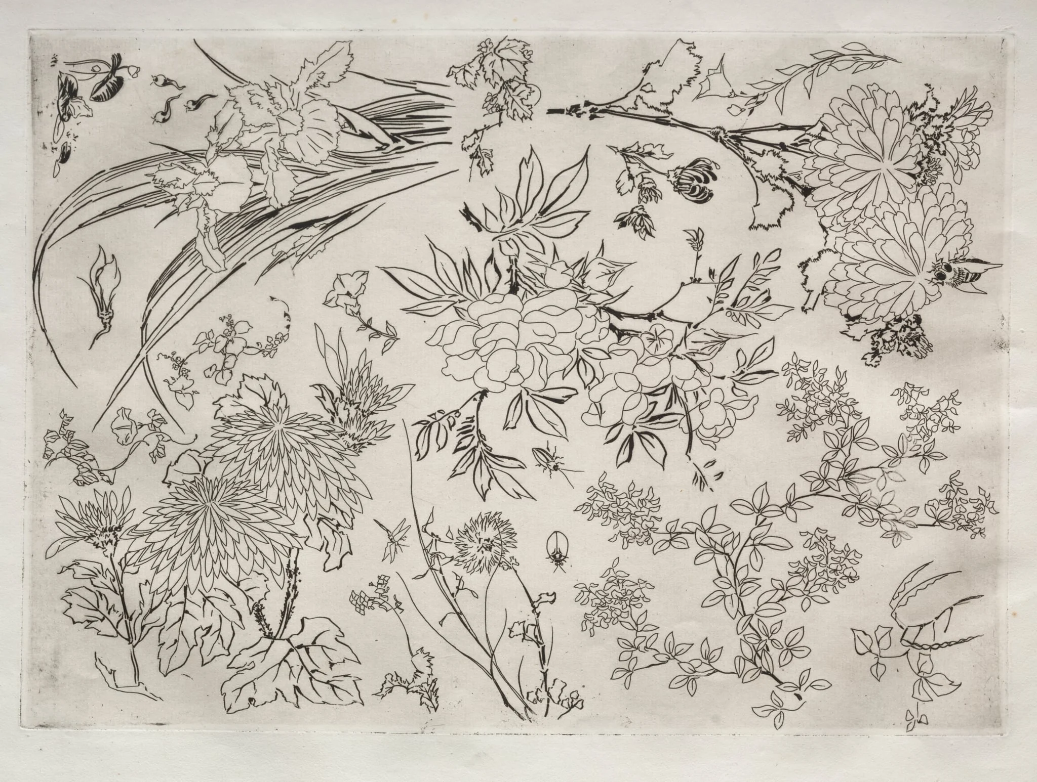 Dinner Service (Rousseau service): Flowers (no. 23), detail