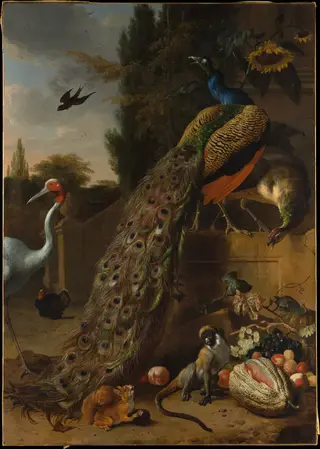 Peacocks, by Melchior d' Hondecoeter, oil, 1692