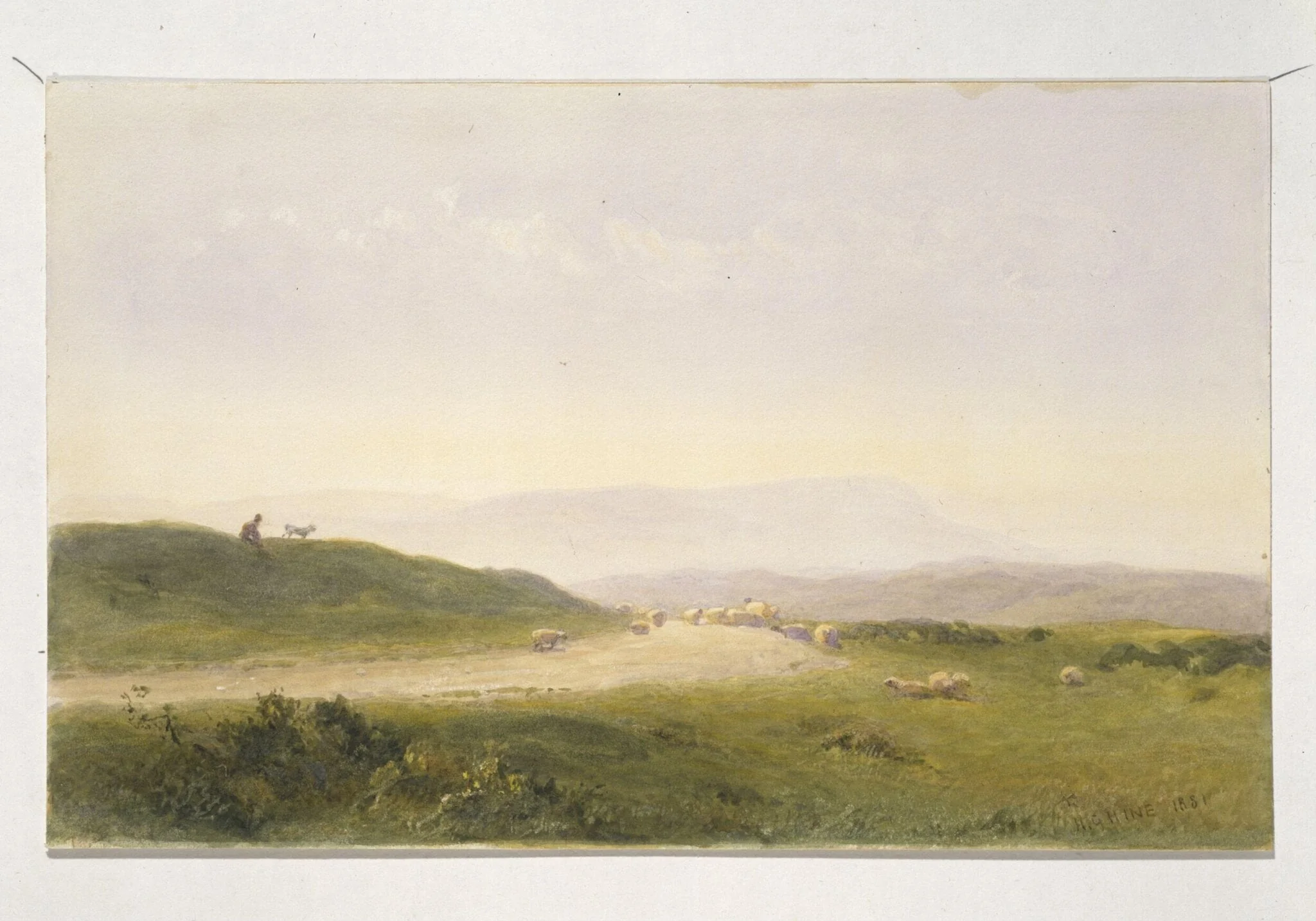 South Downs, detail