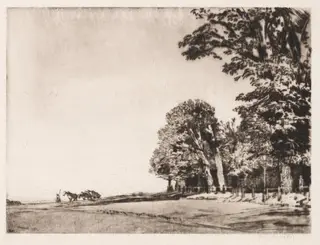 Hampstead Heath, by Muirhead Bone, 1906