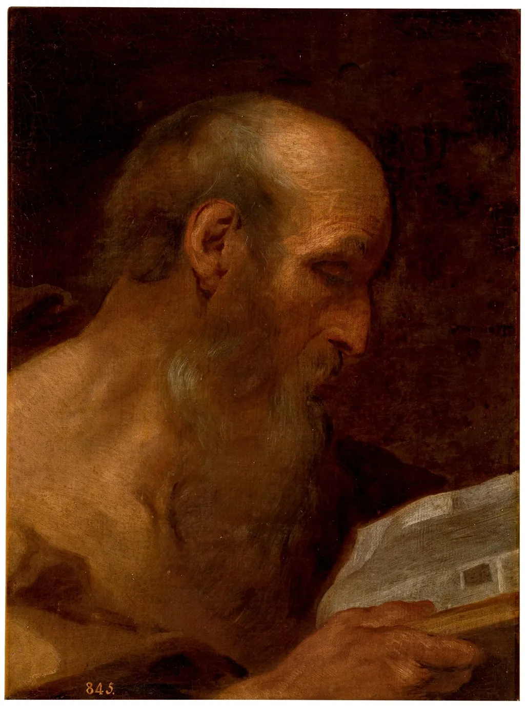 Estudio de cabeza, by Andrea Sacchi, oil, 1601