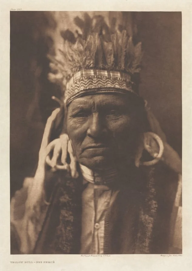 Portfolio VIII, Plate 257: Yellow Bull - Nez Percé, detail