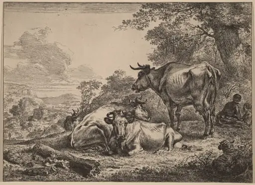 Resting Cows, by Nicolaes Pieterszoon Berchem, ink, 1652