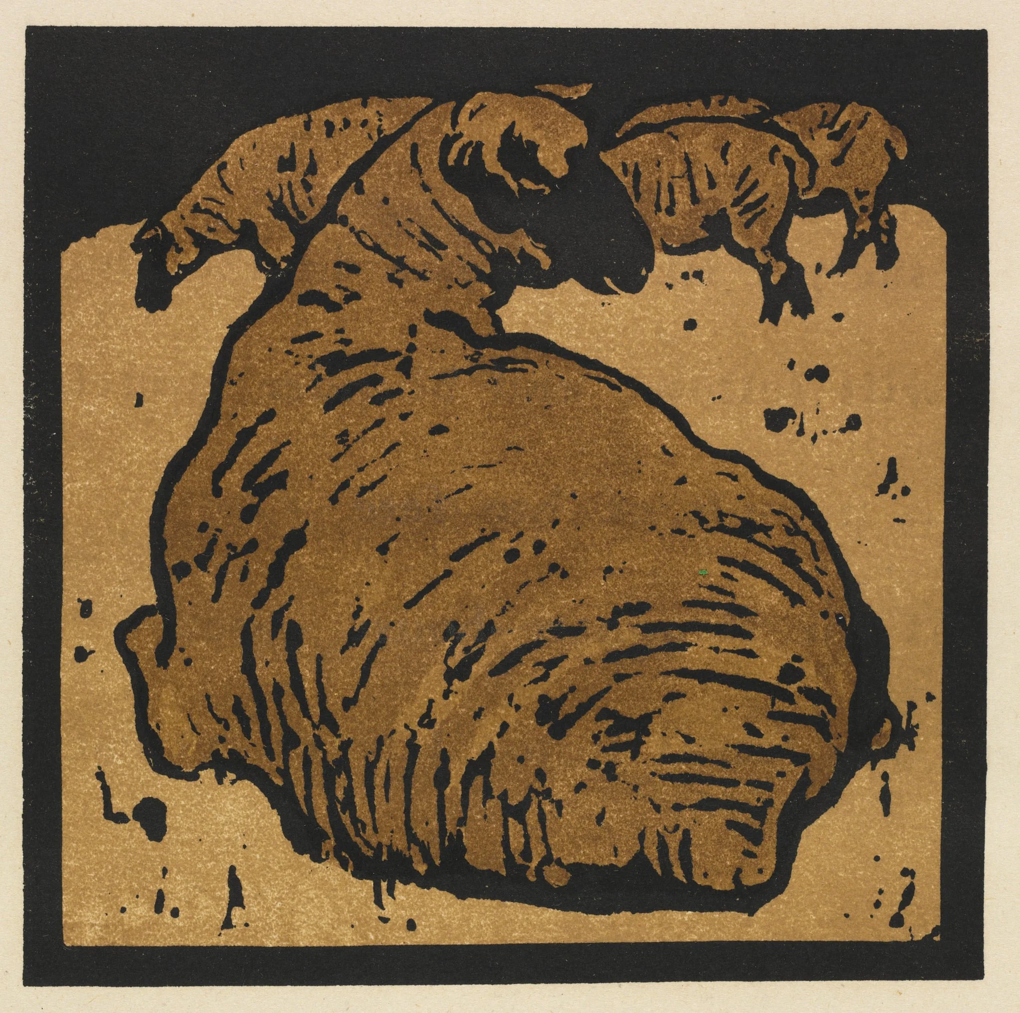 The Square Book of Animals: The Simple Sheep, detail