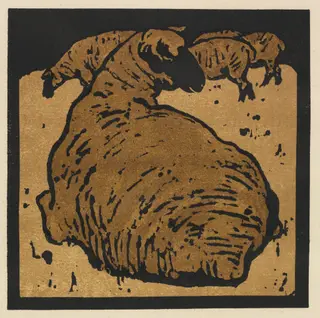The Square Book of Animals: The Simple Sheep, by William Nicholson, 1899