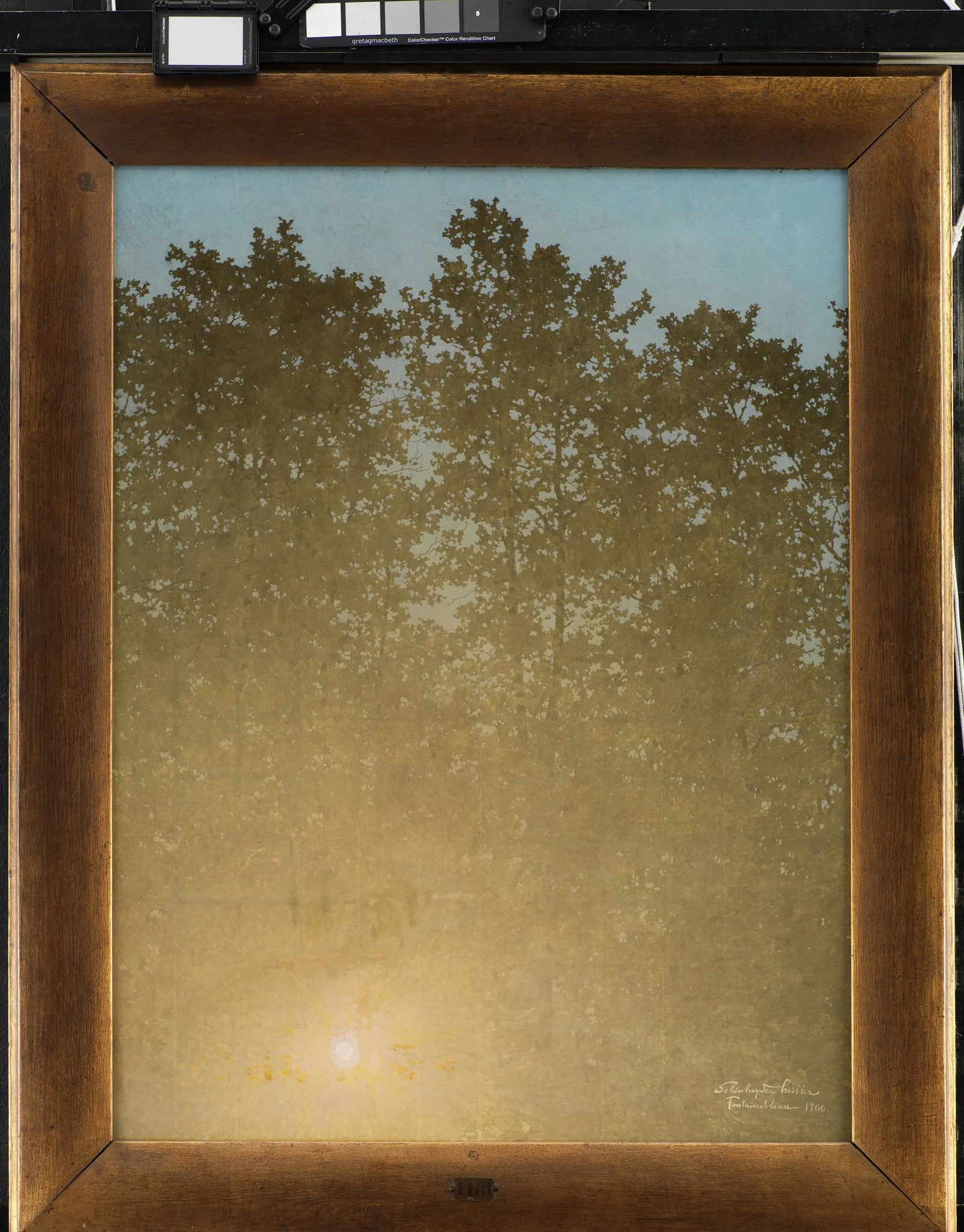 Sunset. Fontainebleau, detail