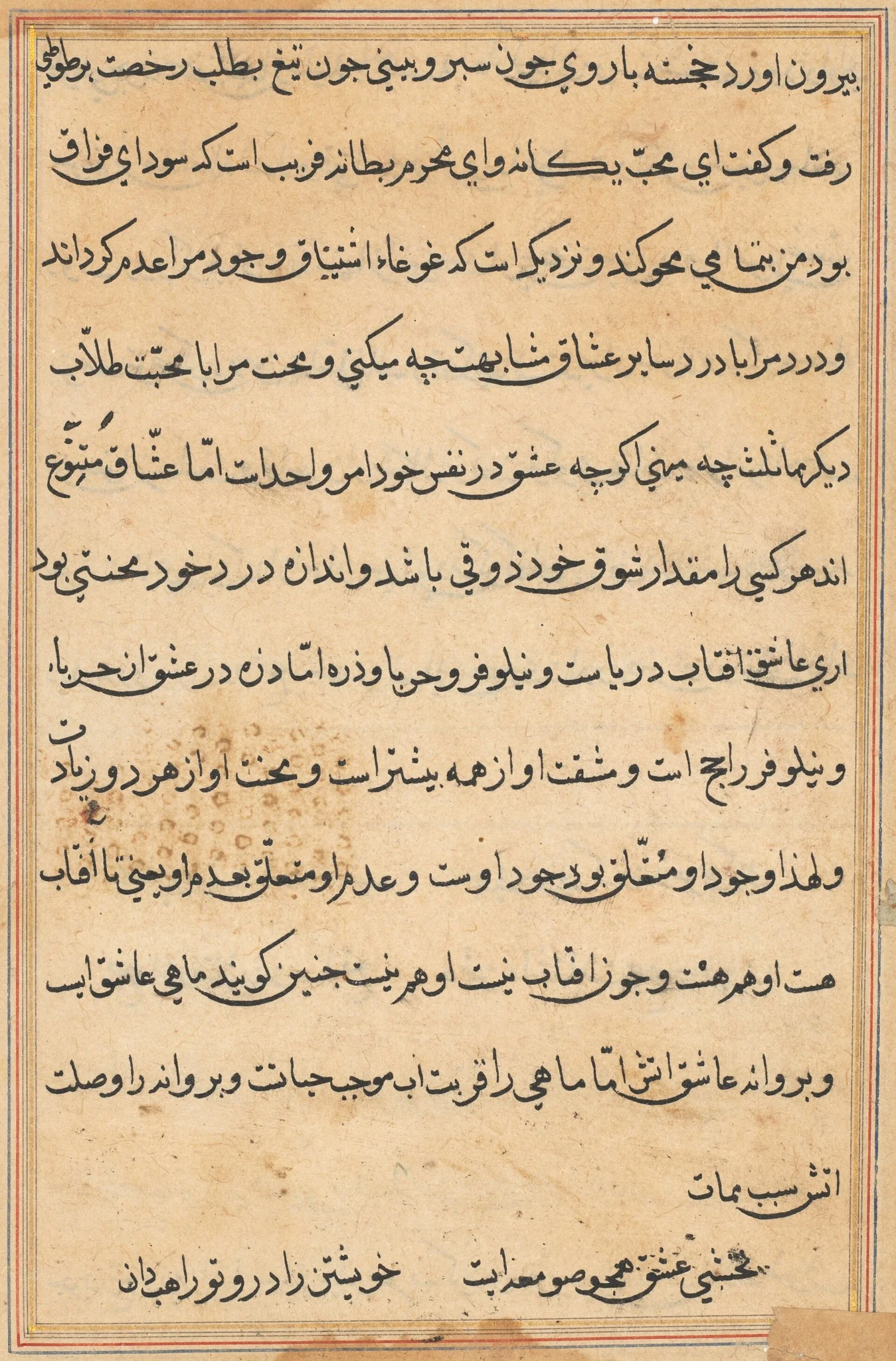 Page from Tales of a Parrot (Tuti-nama): text page, detail