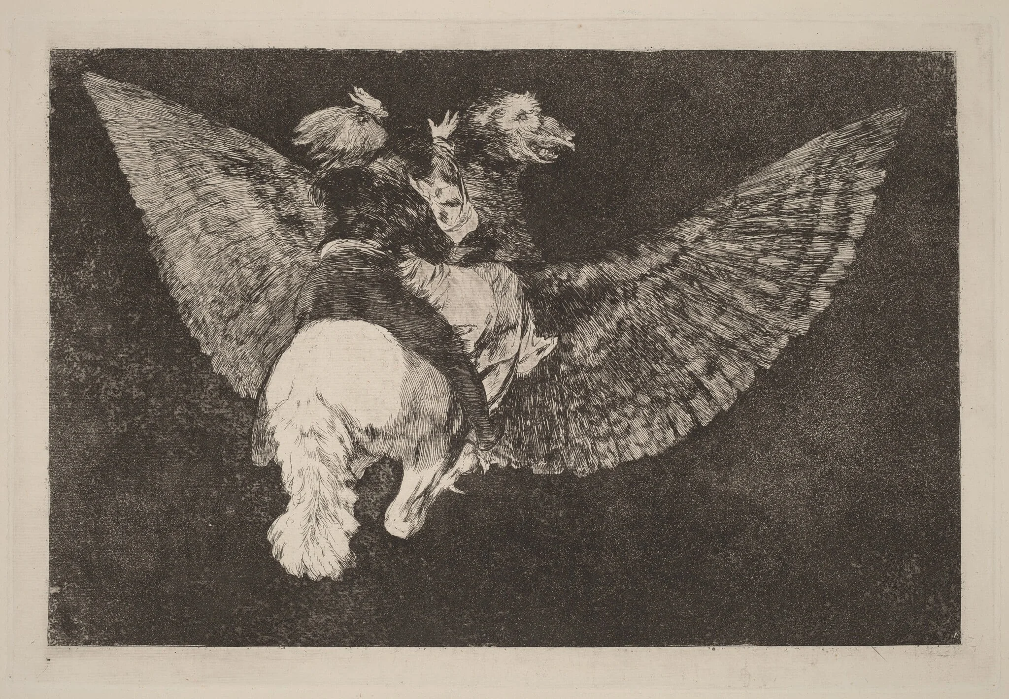 Disparate volante (Flying Folly), detail