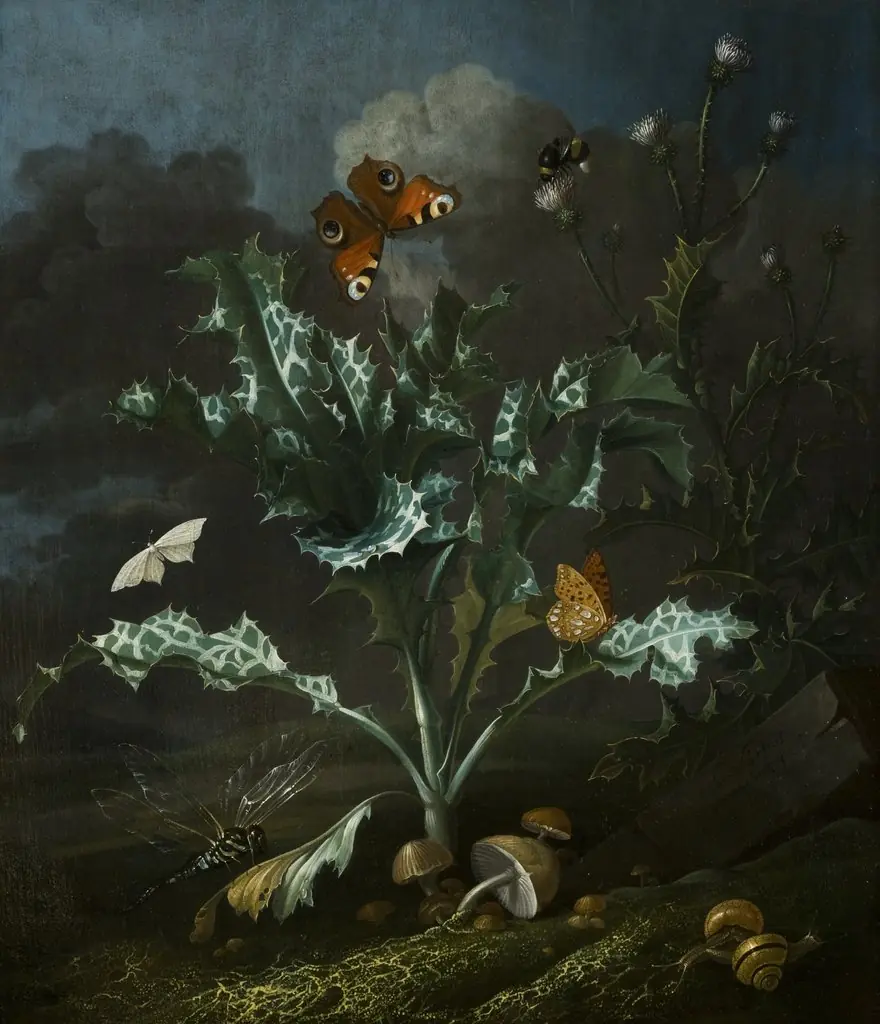 Thistles and Butterflies, by Otto Marseus van Schrieck, oil, 1660