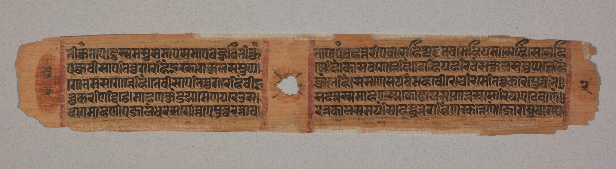 Leaf from a Jain Manuscript: Kalpa-sutra: text describing descent of Mahavira into the womb of the Brahman woman Devananda (verso), detail