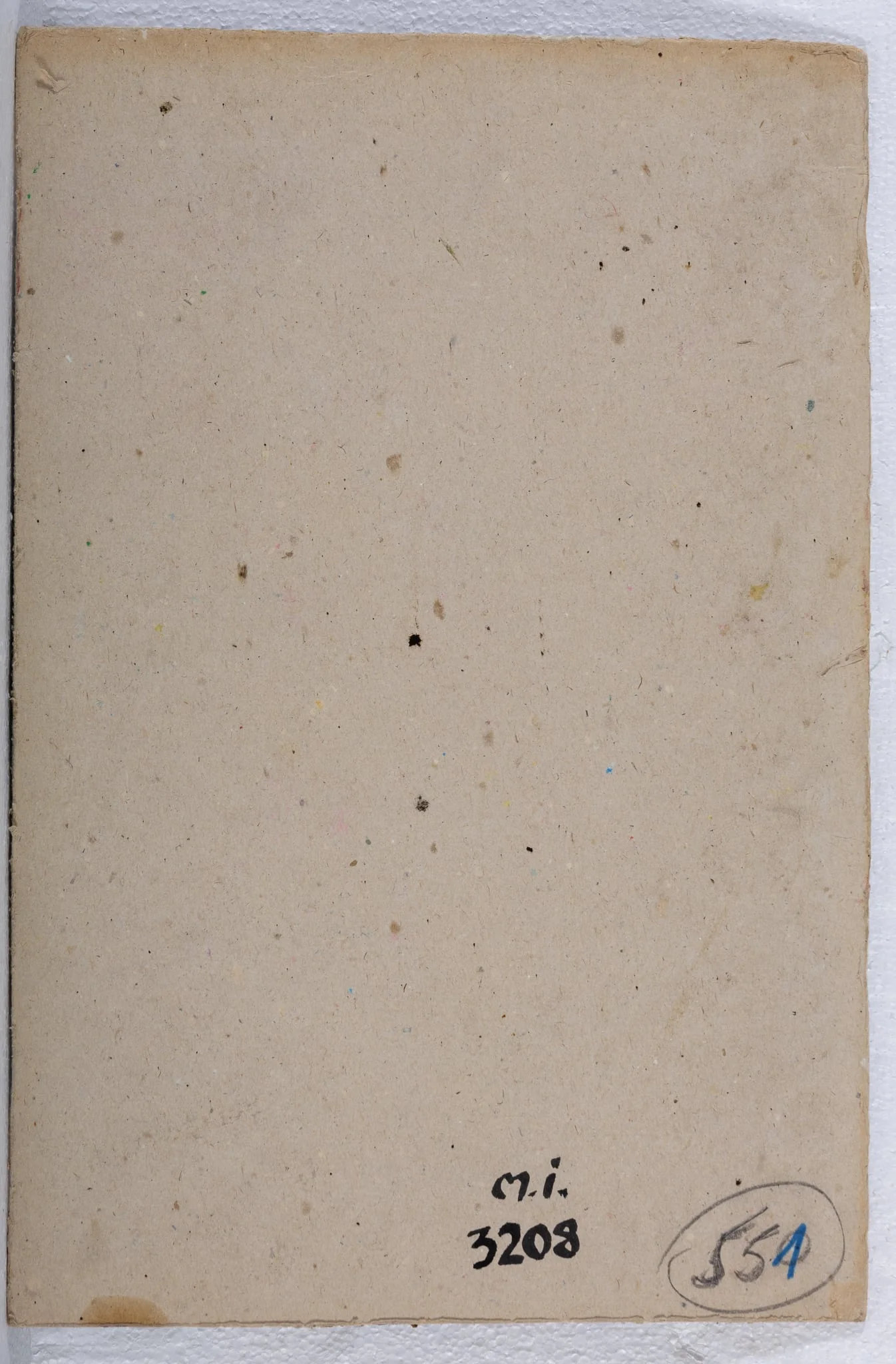 Flori galbene, detail