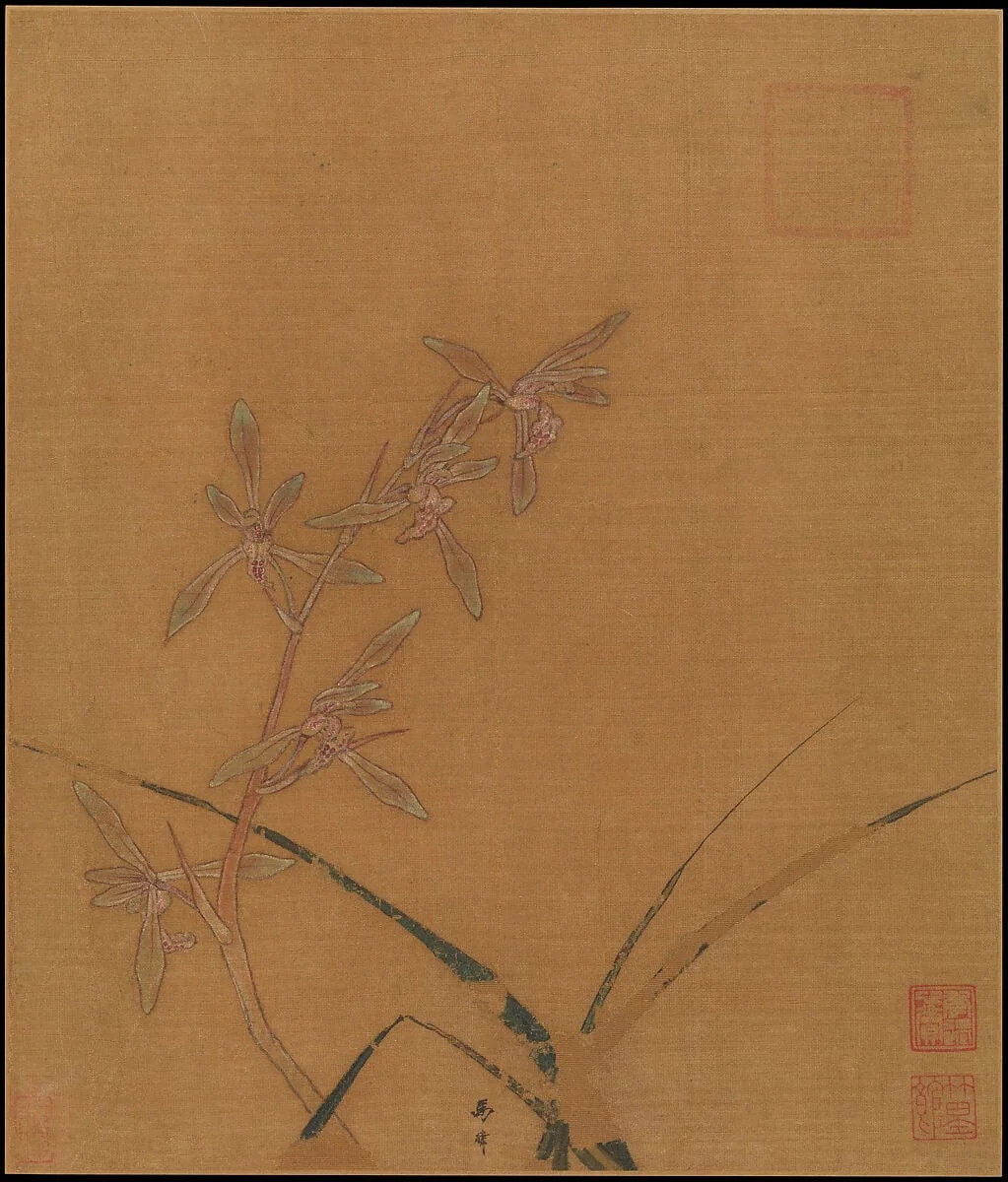 南宋 馬麟 蘭花圖 冊頁 絹本|Orchids, detail