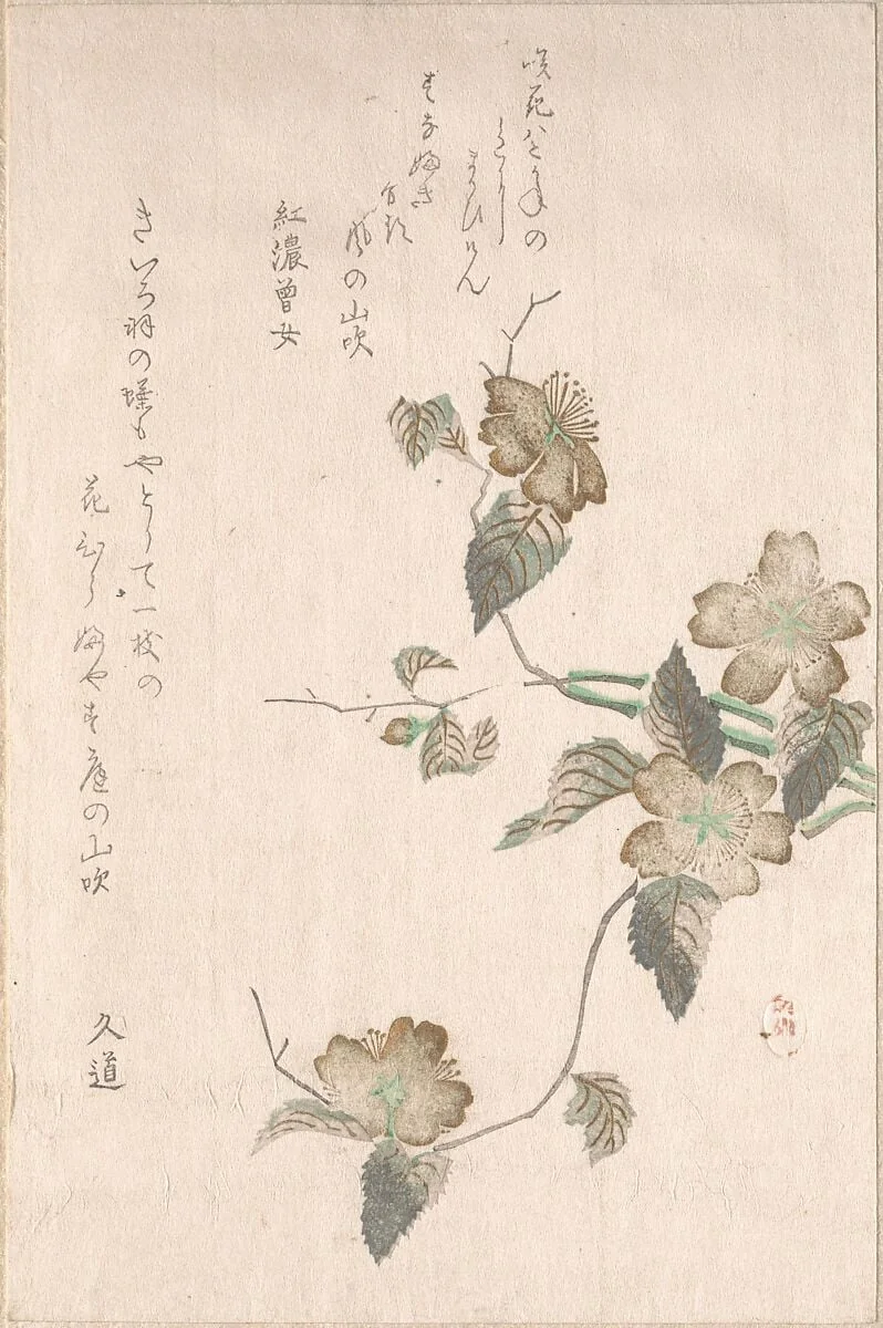 Untitled, detail
