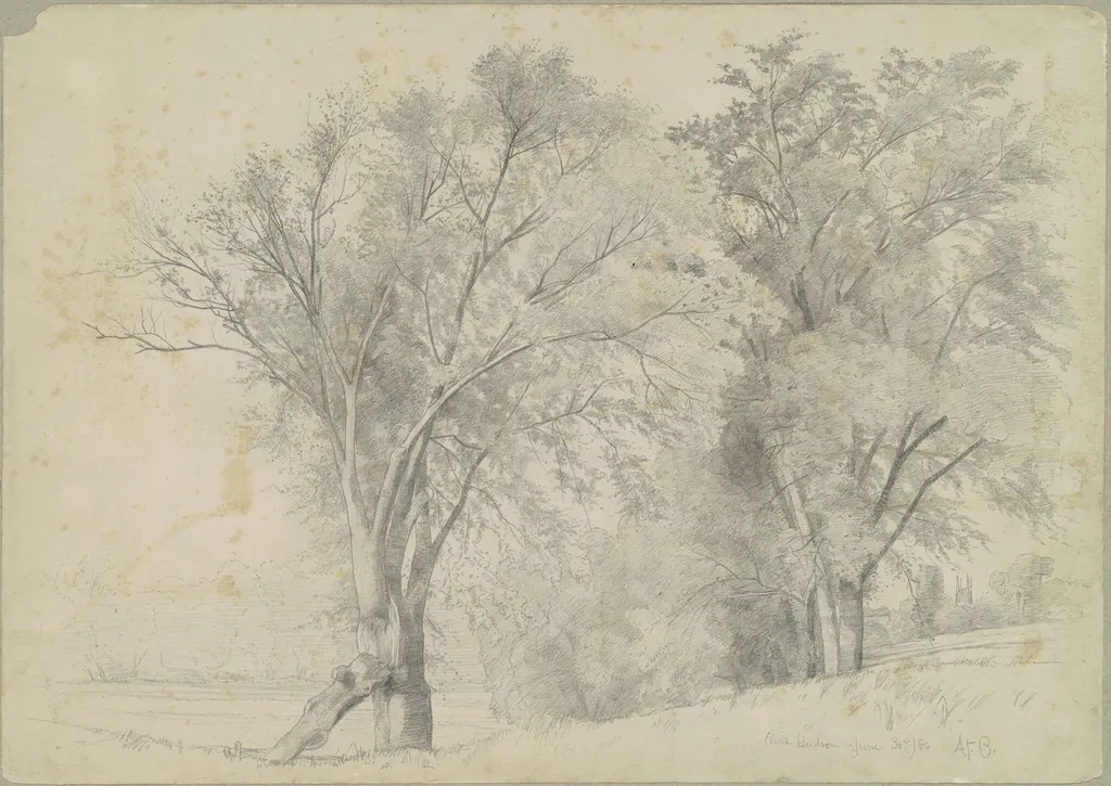 Elms, Hudson, by Andrew Fisher Bunner, graphite, 1866