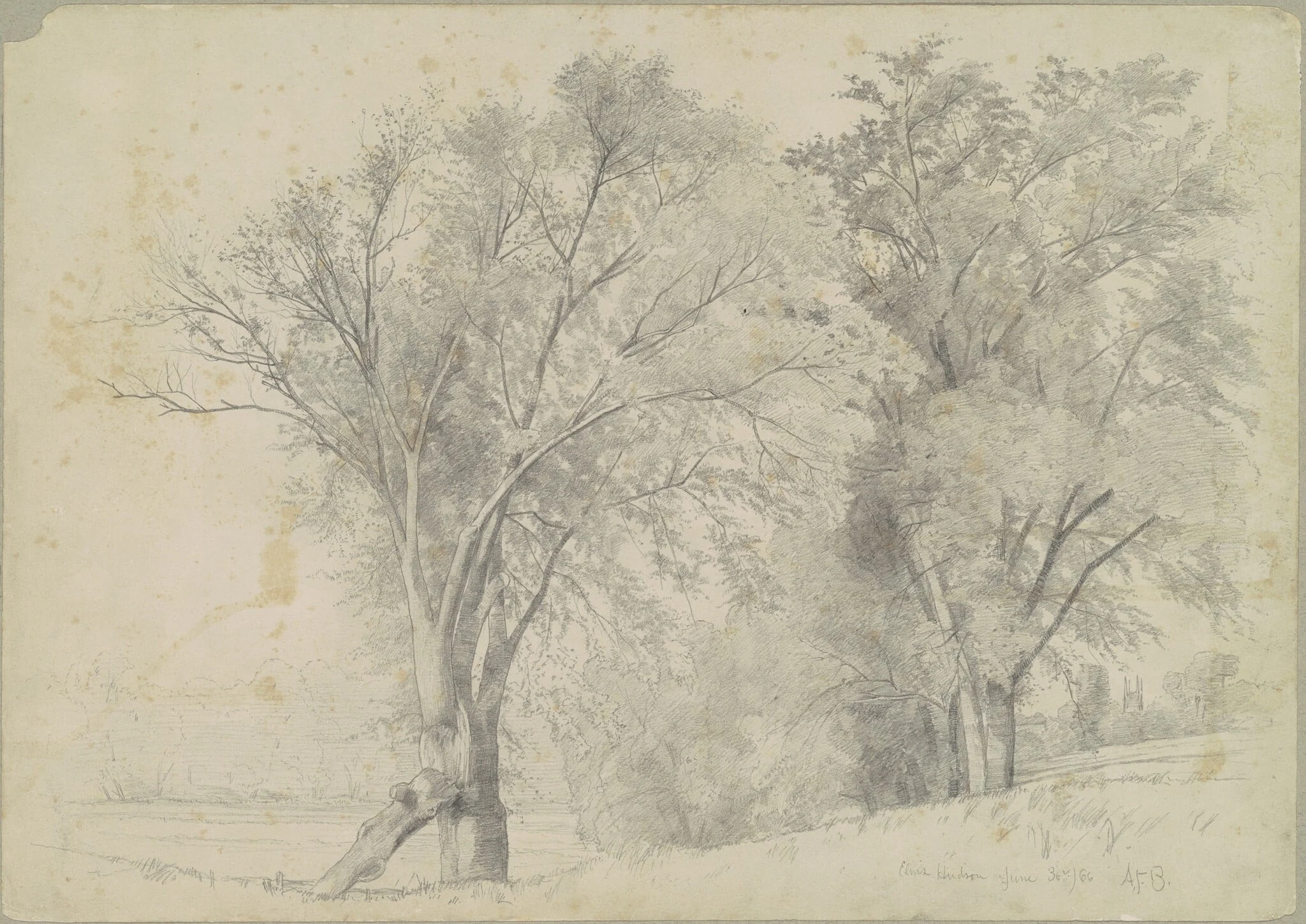 Elms, Hudson, detail