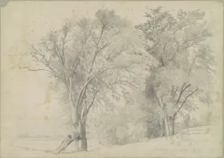 Elms, Hudson, by Andrew Fisher Bunner, graphite, 1866