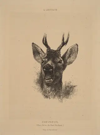 Chevreuil, by Karl Bodmer, ink, 1851