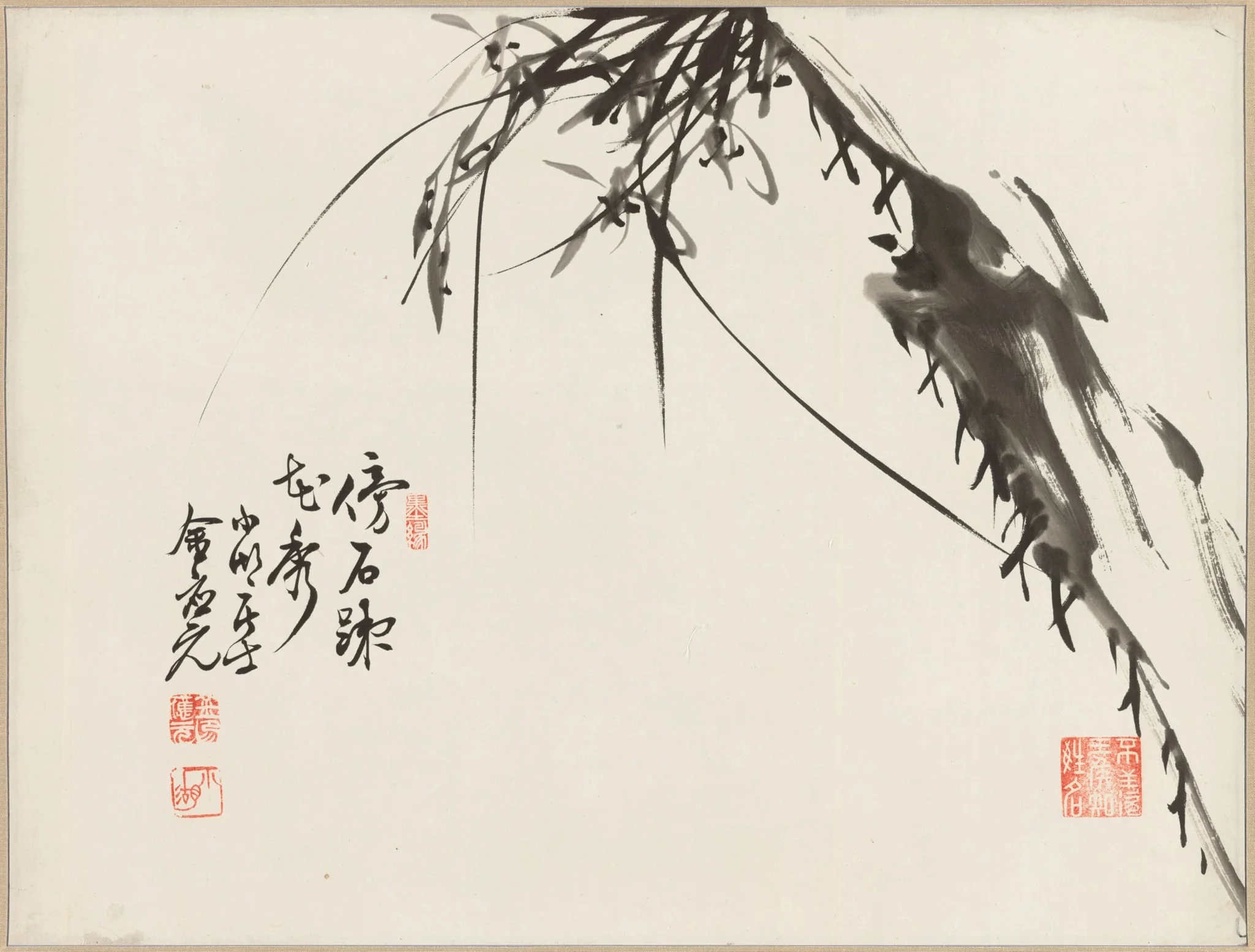 Orchids, detail