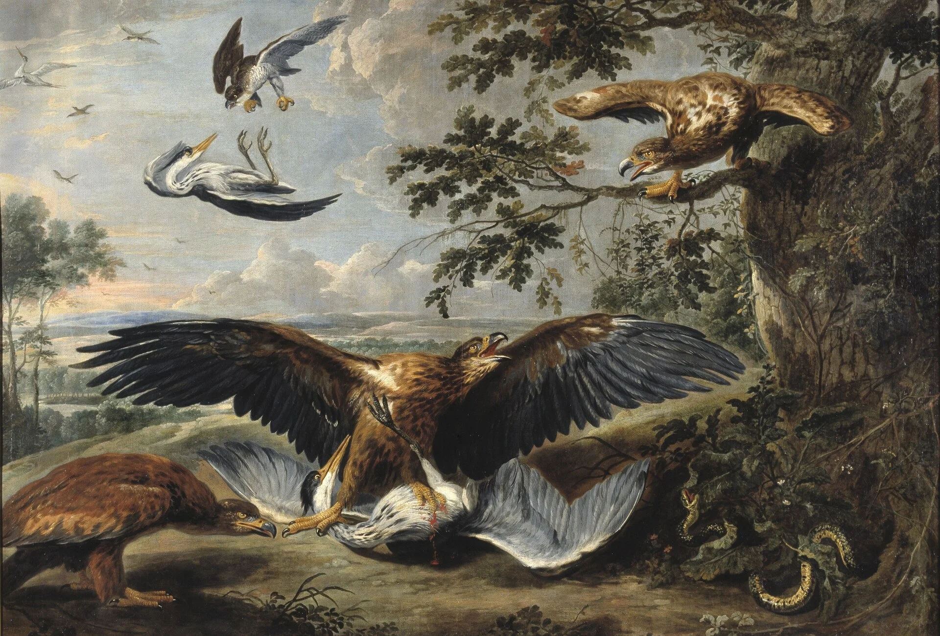 Fight between Eagles, detail
