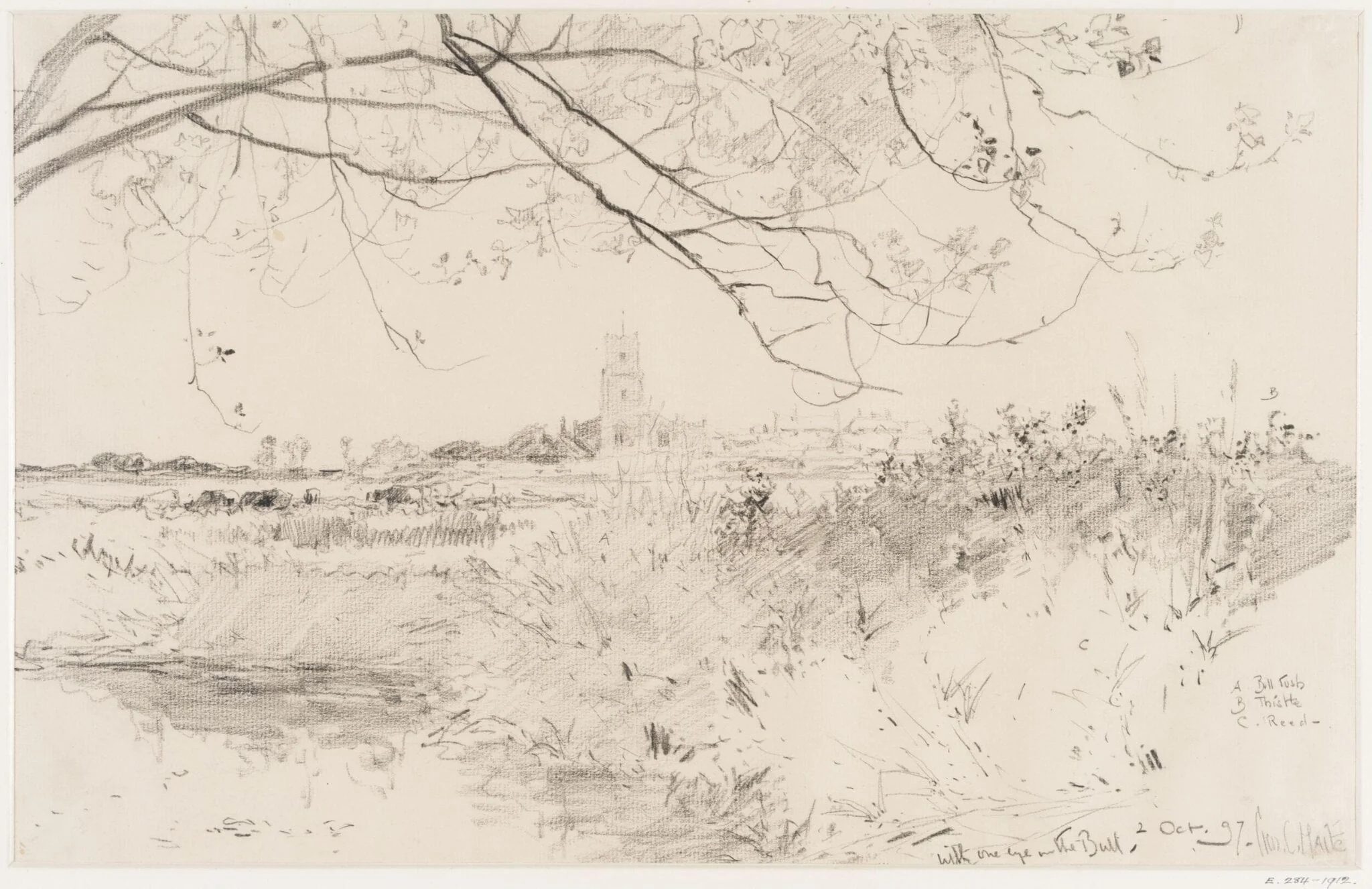 Walberswick Marshes., detail