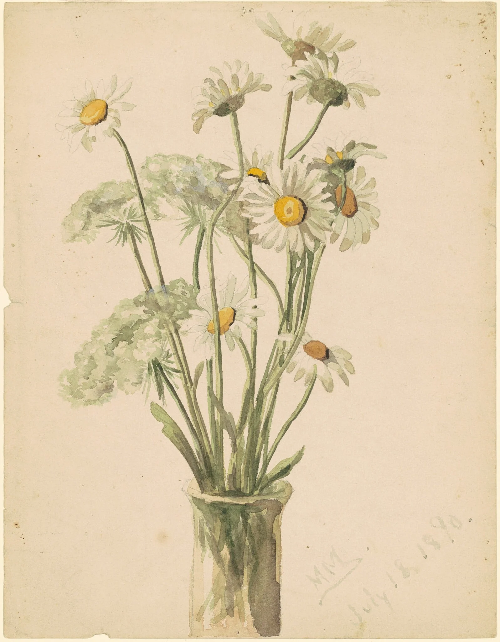 Daisies and Queen Ann's Lace, detail