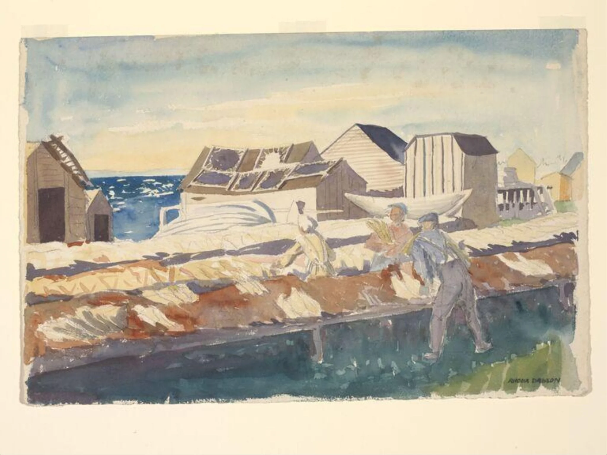 St Anthony's Harbour - A fish drying establishment with seal skins drying., detail