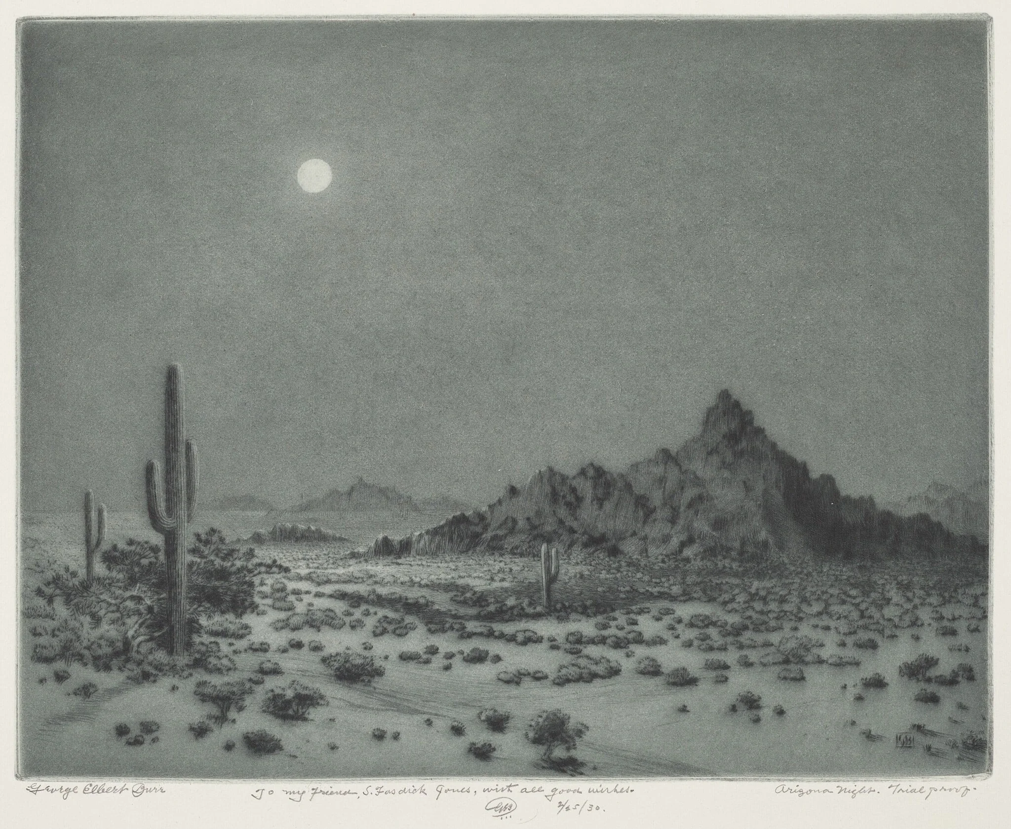 Arizona Night, detail
