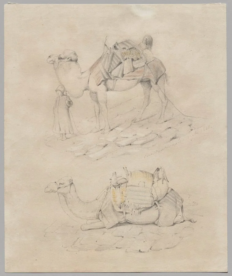 Study of Camels, detail