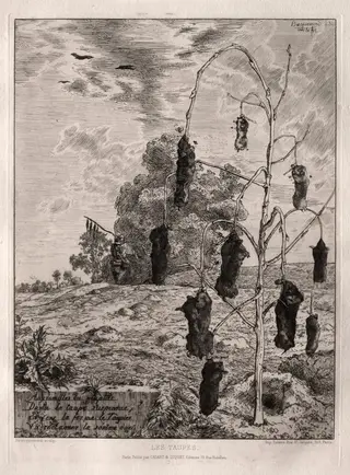 Moles, by Félix Bracquemond, 1854