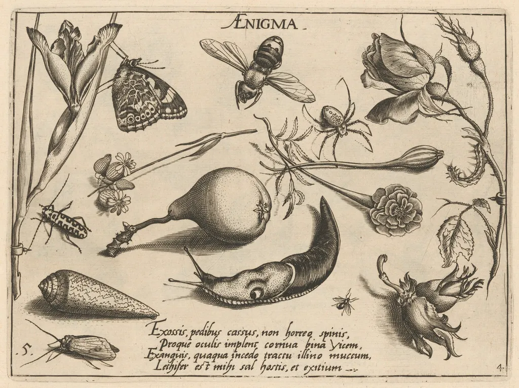 Archetypa studiaque patris Georgii Hoefnagelii [Part 4, Plate 5], by Jacob Hoefnagel, ink, 1592
