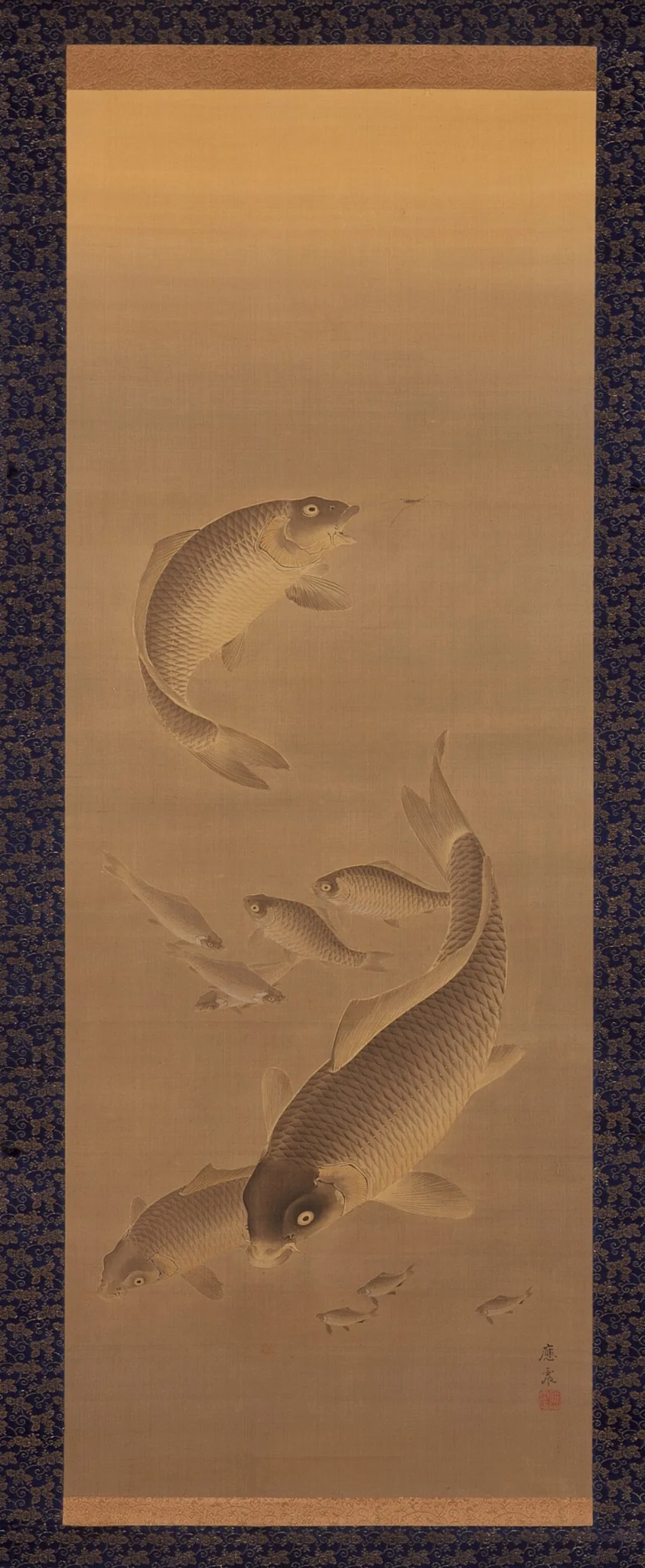 Carp, detail
