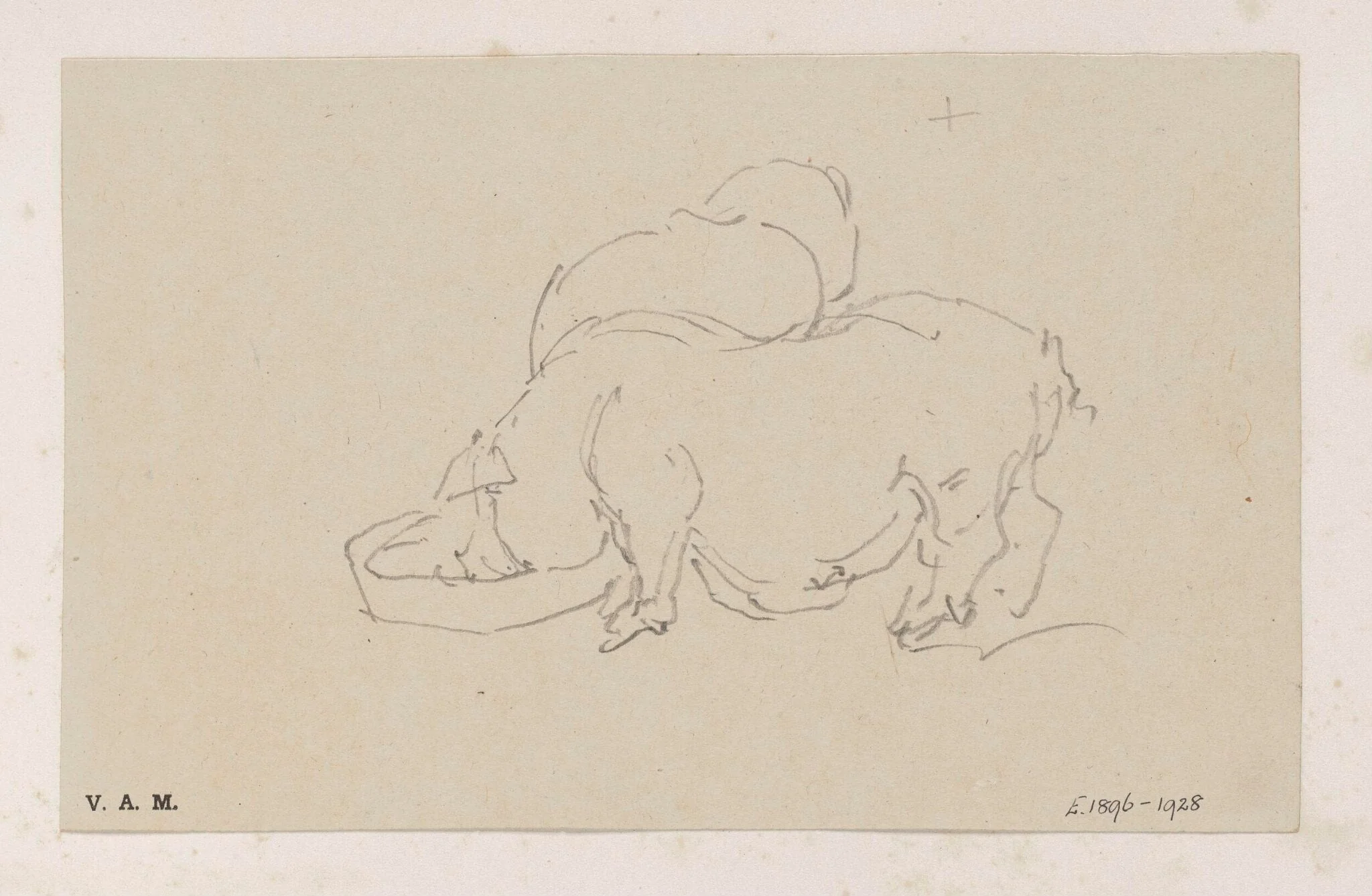 Two pigs, detail